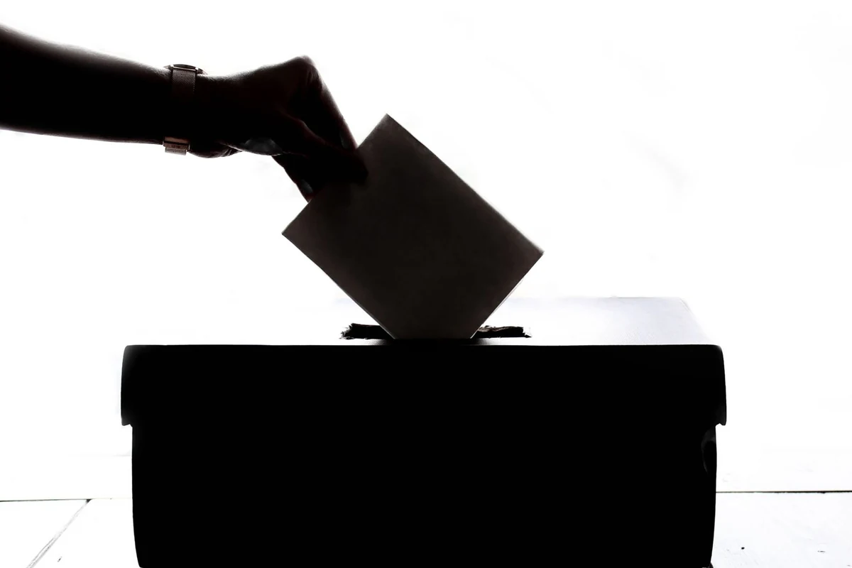 Elettorale